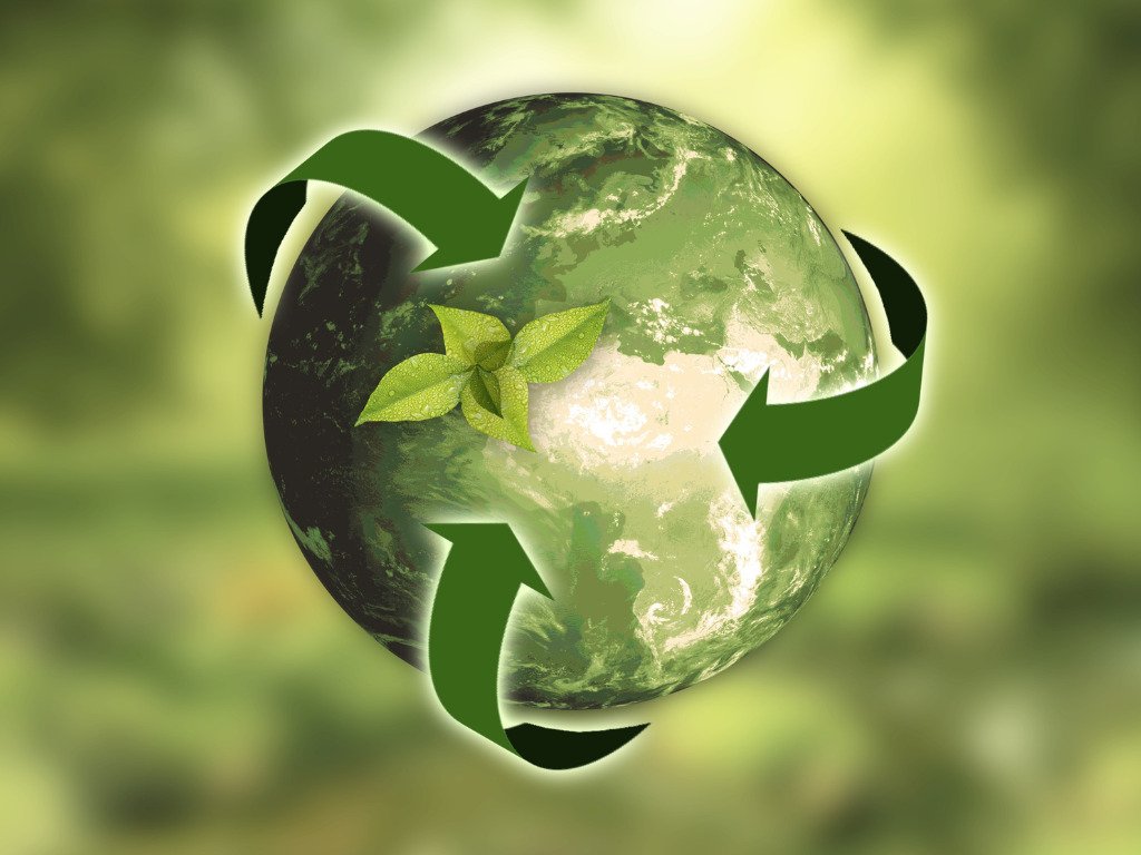 Our Journey Towards a Greener, Sustainable Hotel